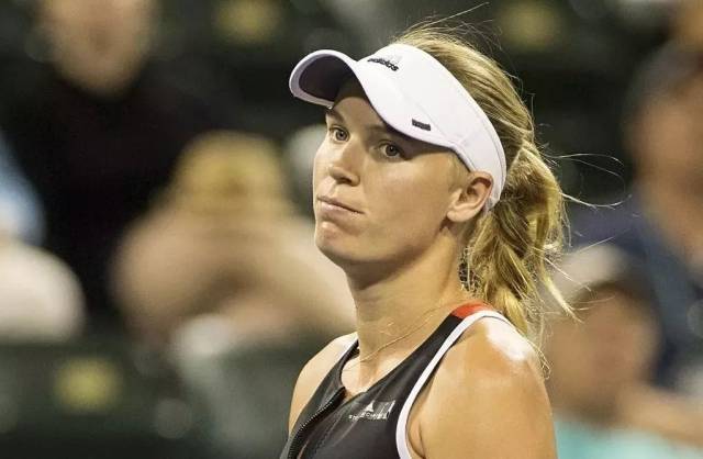 聚了驻泉城 聚了驻泉城